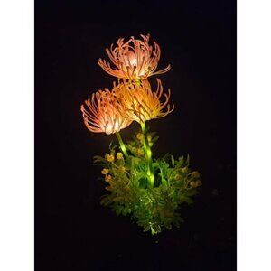 4pack Solar Garden Lights, Solar Flowers Lights with Glowing Flowers & Stems